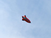 Foil balloon Rocket, 44x115cm, mix